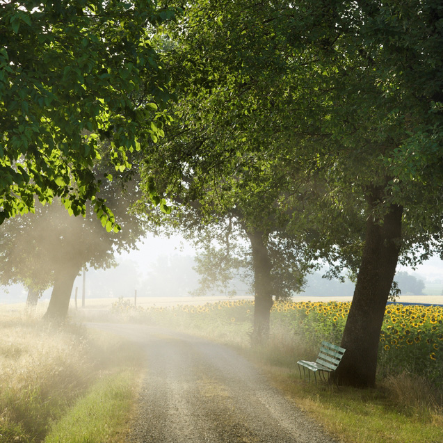 via-francigena